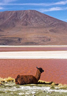 Боливия Альтиплано и Салар де Уюни - Bolivia Altiplano and Salar de Uyuni