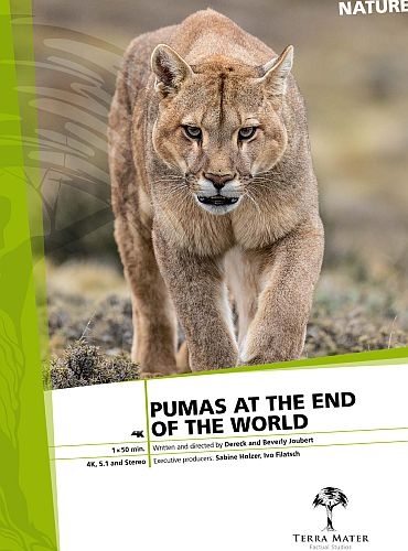 Пумы на краю света - Pumas At The End of The World