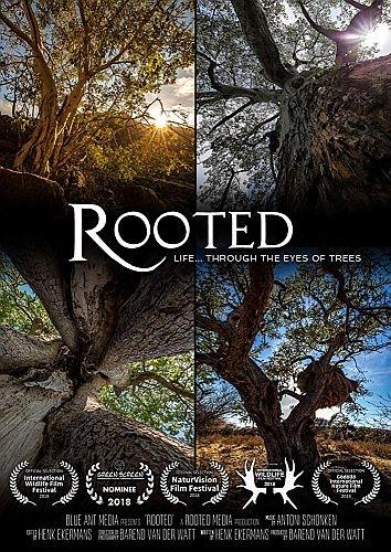 От корня до кроны: тайны деревьев - Rooted