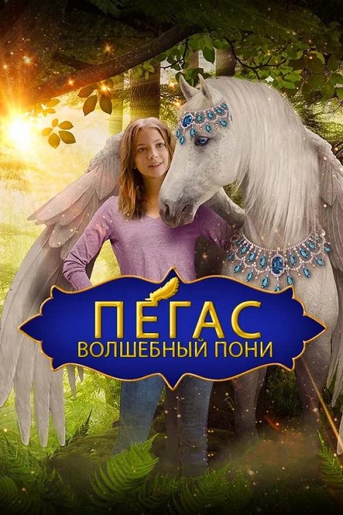 Пегас: Волшебный пони - Pony with a Broken Wing