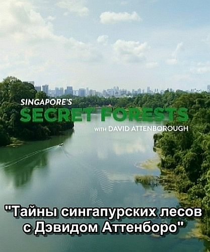 Тайны сингапурских лесов с Дэвидом Аттенборо - Singapore°s Secret Forests With David Attenborough