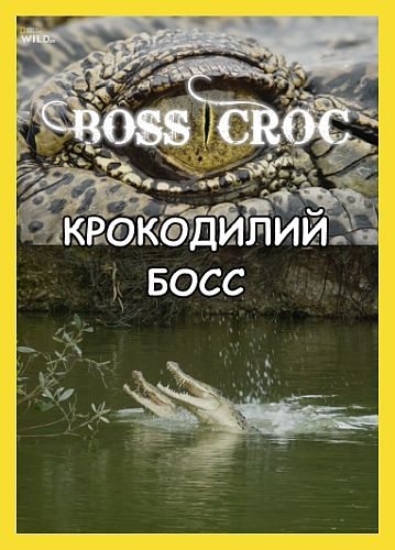   - Boss Croc