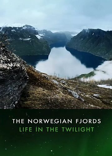  .   - The Norwegian Fjords - Life in the Twilights