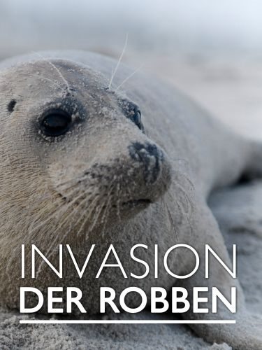 :   - Invasion der Robben