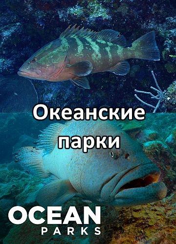 Океанские парки - Ocean Parks