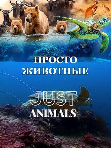 Просто животные - Just Animals