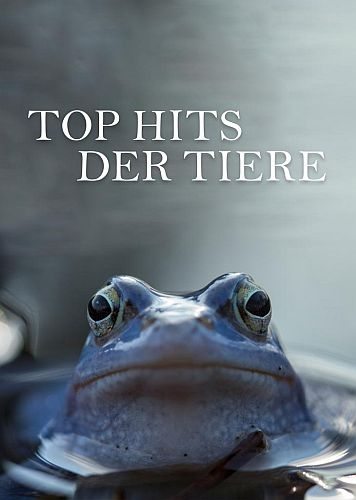 Голоса природы - Top Hits der Tiere