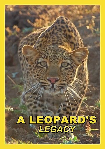 Наследие леопарда - A Leopard°s Legacy