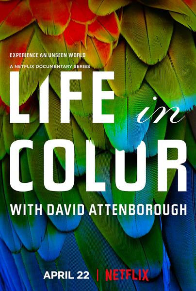 Жизнь в цвете с Дэвидом Аттенборо - Life in Colour