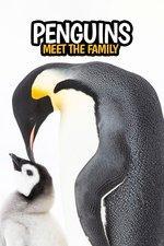 Знакомьтесь: пингвины - Penguins- Meet the Family