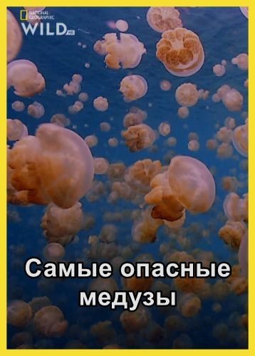 Самые опасные медузы - World°s Deadliest Jellyfish