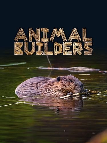 Животные-строители - Animal builders