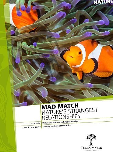 Опасные связи. Друзья и враги в дикой природе - Mad Match вЂ“ NatureвЂ™s strangest Relationships