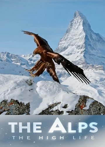 Альпы: Жизнь на высоте - The Alps- High Life