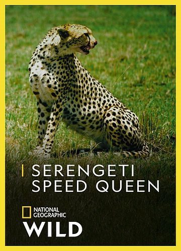 Быстроногая королева Серенгети - Serengeti Speed Queen