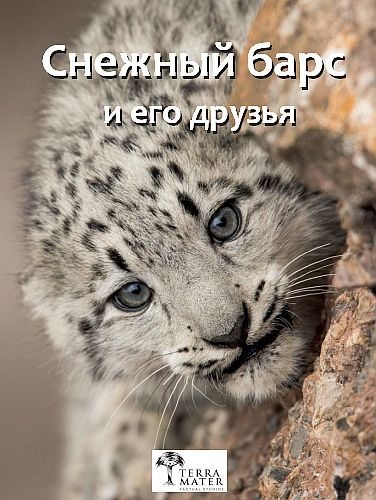 Снежный барс и его друзья - Snow Leopards and Friends