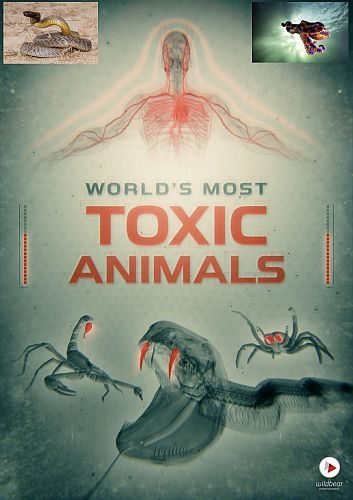 Самые ядовитые животные мира - World°s Most Toxic Animals