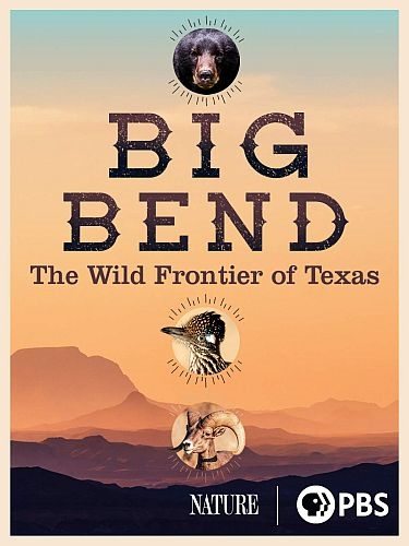 Торжество дикой природы. Национальный парк Биг Бенд - Big Bend - America°s Wildest Frontier