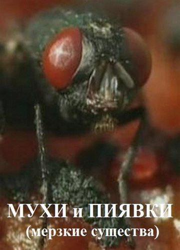 Мухи и пиявки. Мерзкие существа - Flies and leeches