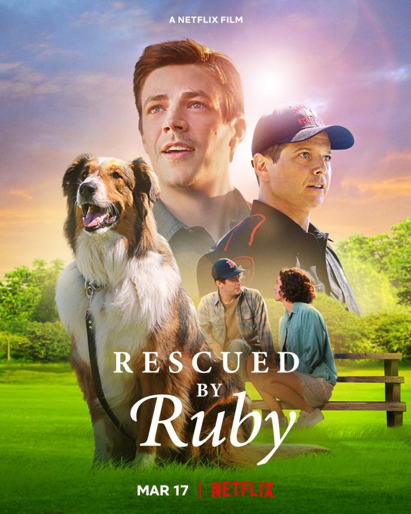 Руби, собака-спасатель - Rescued by Ruby