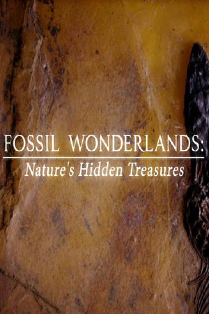 Страна чудесных ископаемых - тайные сокровища природы - Fossil Wonderlands- Nature°s Hidden Treasures