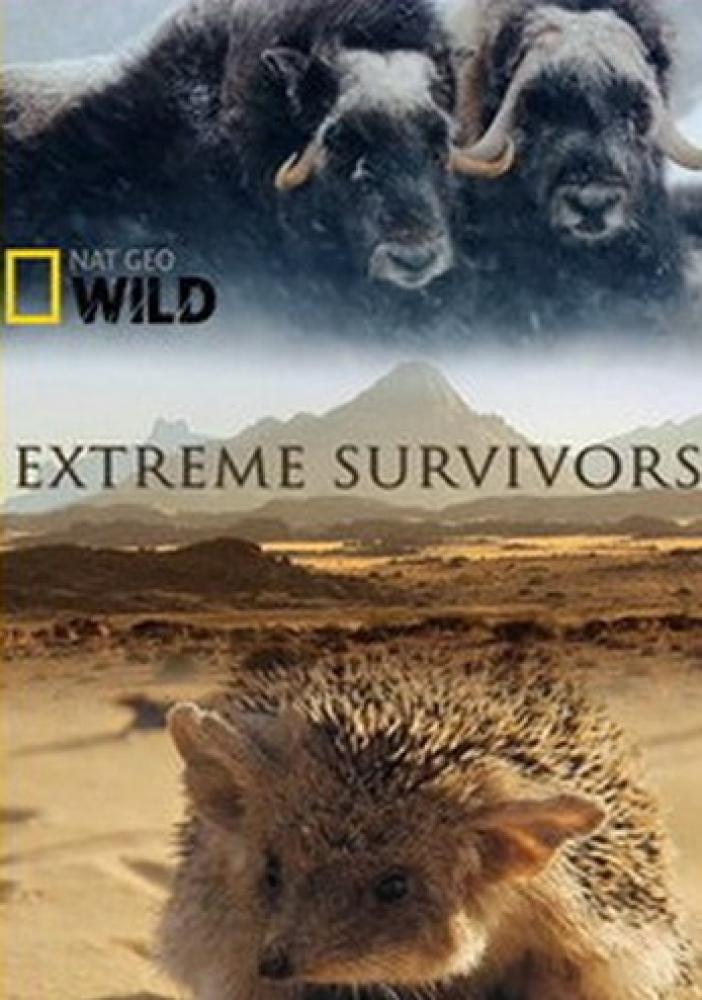 Выжить несмотря ни на что - Extreme Survivors