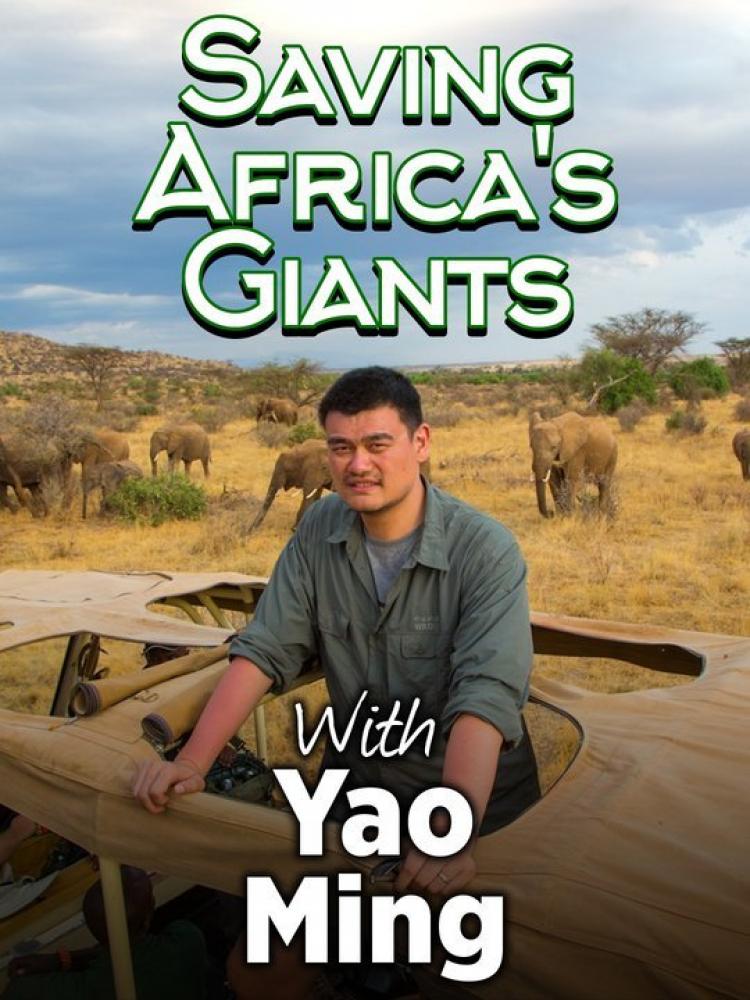 Спасение слонов с Яо Мином - Saving Africa°s Giants with Yao Ming