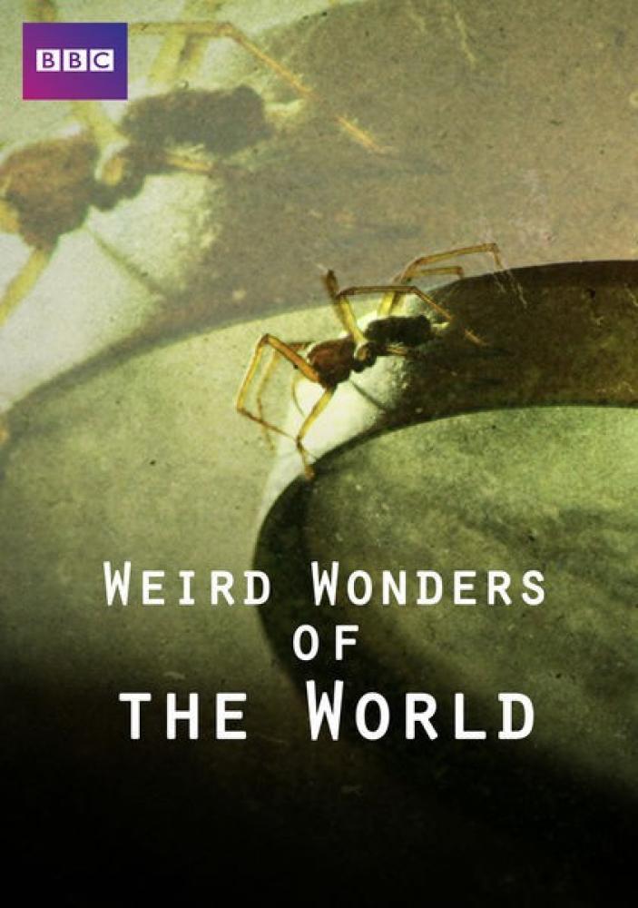 Поразительные чудеса мира - Weird Wonders of the World