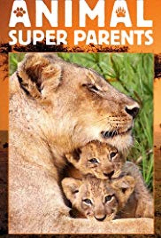 Лучшие родители в мире животных - Animal Super Parents