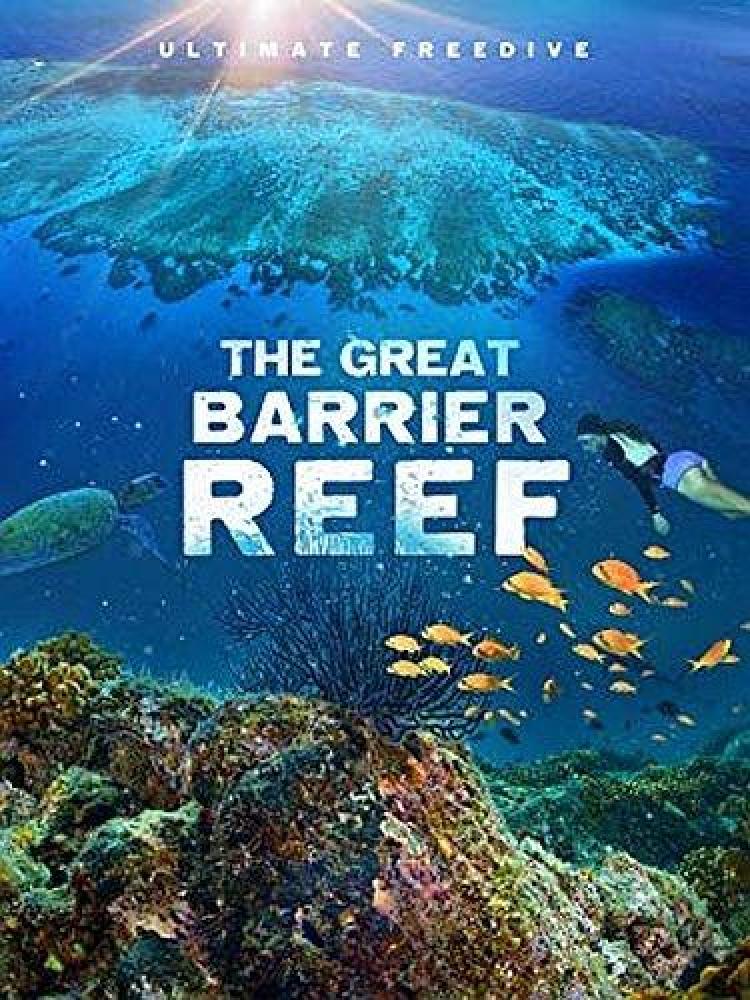 Фридайвинг на Большом Барьерном рифе - Ultimate Freedive- The Great Barrier Reef