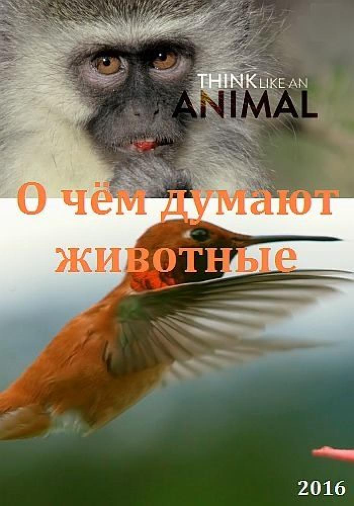 О чём думают животные - Think Like an Animal