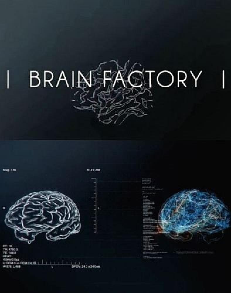 Фабрика мозгов - Brain Factory