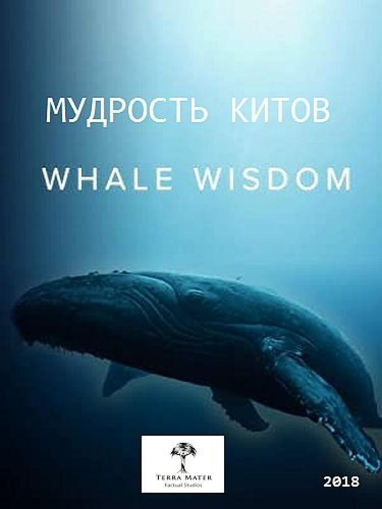 Мудрость китов - Whale Wisdom