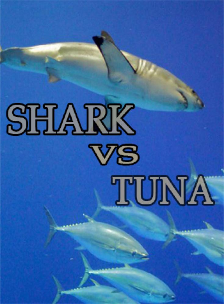 Акула против тунца - Shark vs Tuna