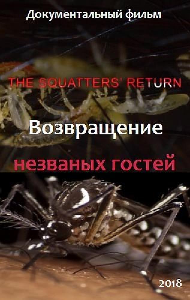 Возвращение незваных гостей - The squatters° Return