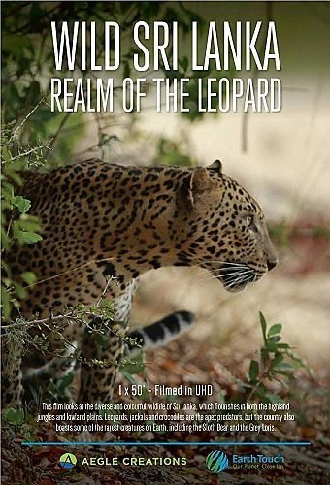 Дикая Шри-Ланка: царство леопардов - Wild Sri Lanka- Realm of the Leopard