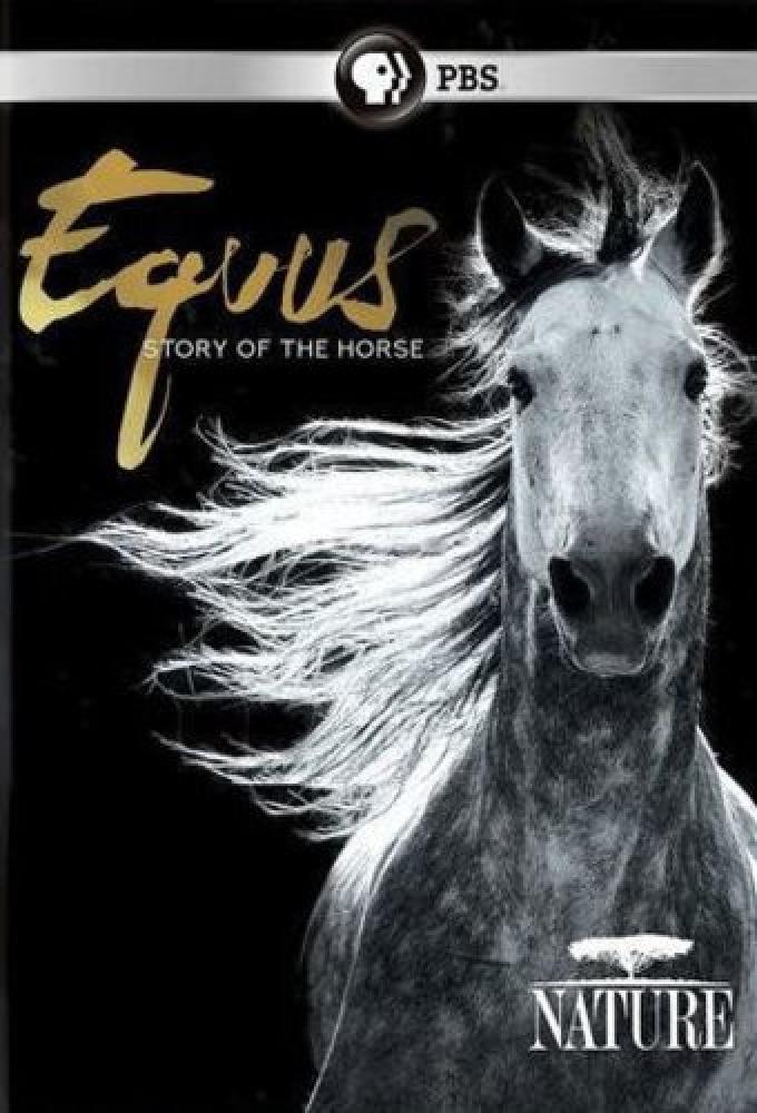 Эквус: История лошади - Equus- Story of the Horse