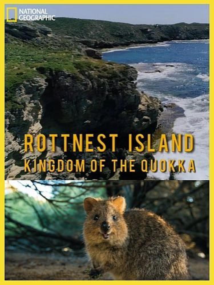 Королевство кенгуру на острове Роттнест - Rottnest Island Kingdom of the Quokka