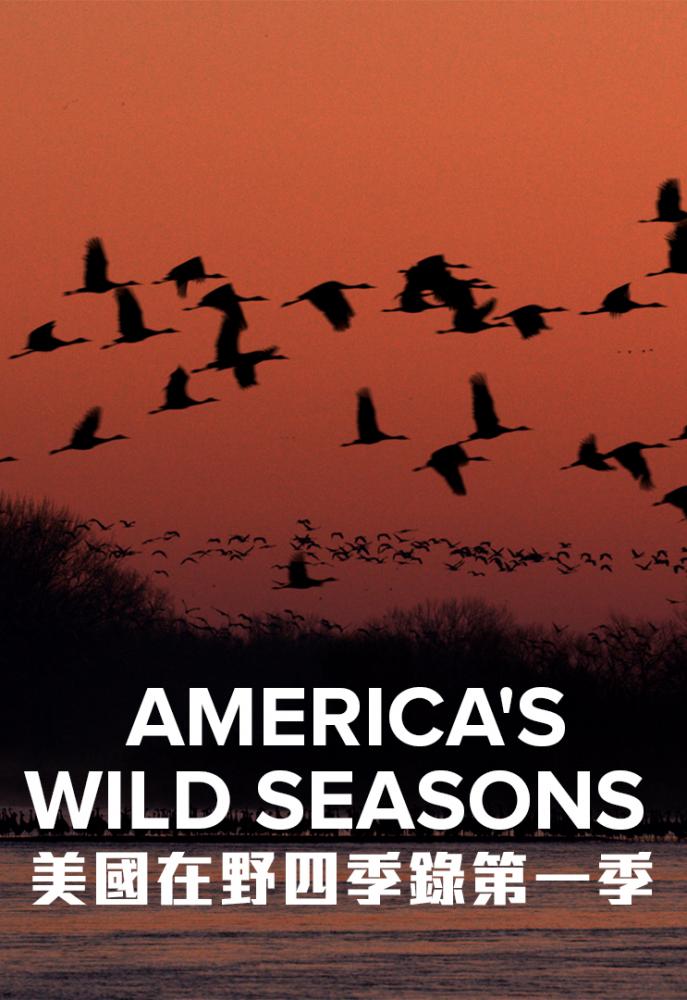 Времена года в дикой природе Америки - America°s Wild Seasons