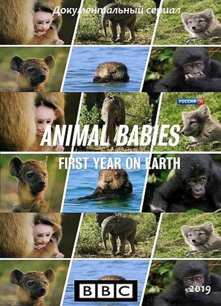 Малыши в дикой природе: первый год на земле - Animal Babies- First Year on Earth