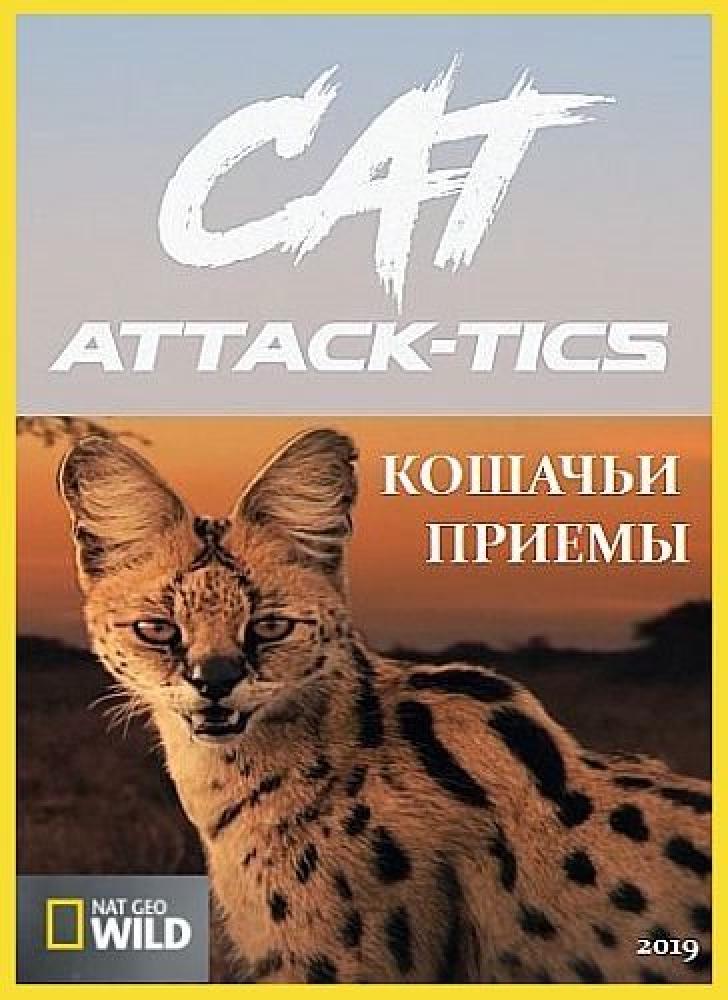 Кошачьи приемы - Cat Attack-Tics