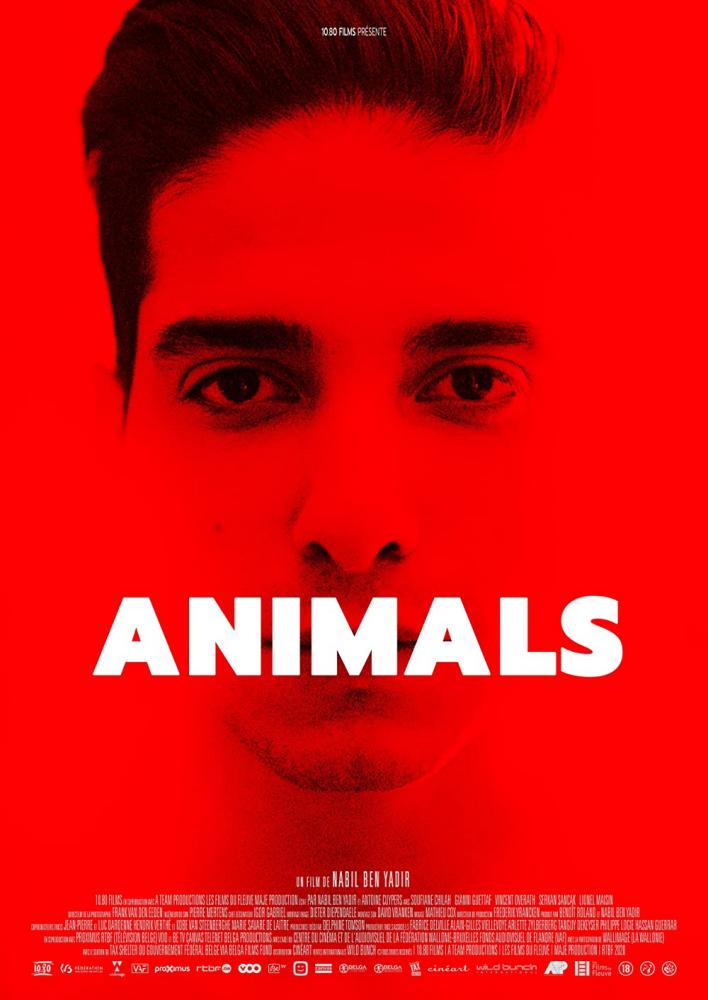 Животные - Animals