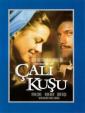 Королек - птичка певчая - Calikusu