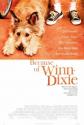  - - Because of Winn-Dixie