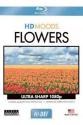 Цветы - HD Moods: Flowers