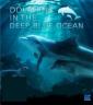 Дельфины в океанской синеве - Dolphins In The Deep Blue Ocean