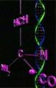 Генетический паспорт - Geneticheskij pasport