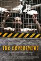  - The Experiment