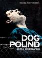    - Dog Pound