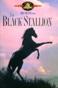 Черный жеребец - (The Black Stallion)